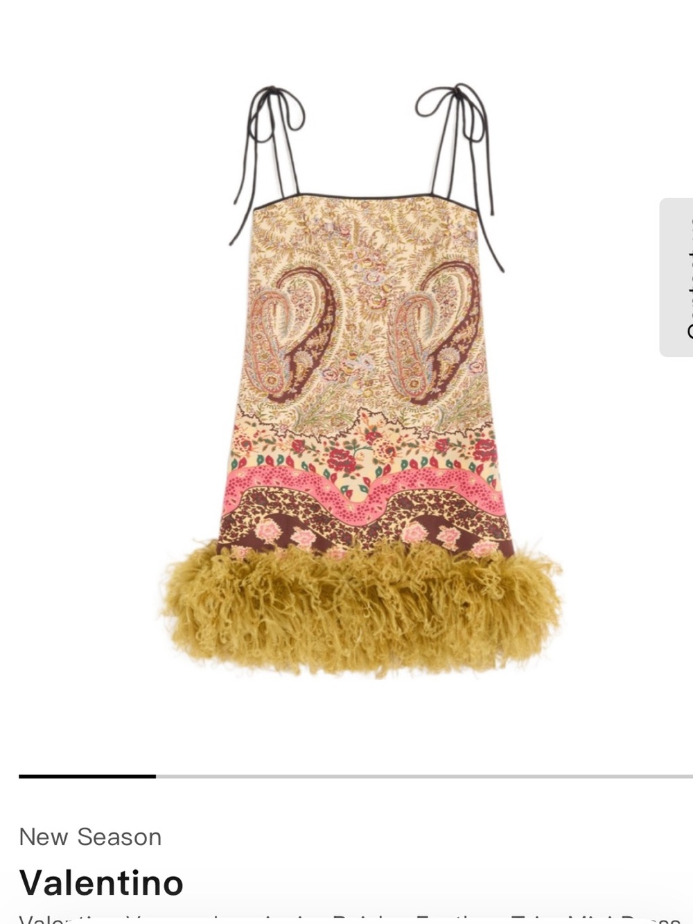 Valentino Pink Paisley Slip Dress with Mustard Feather Hem